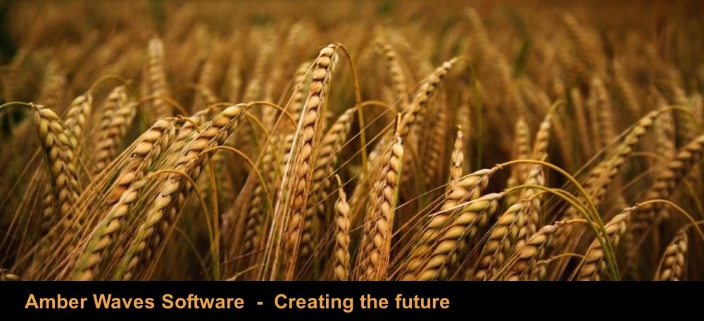 Amber Waves Software - Creating the future